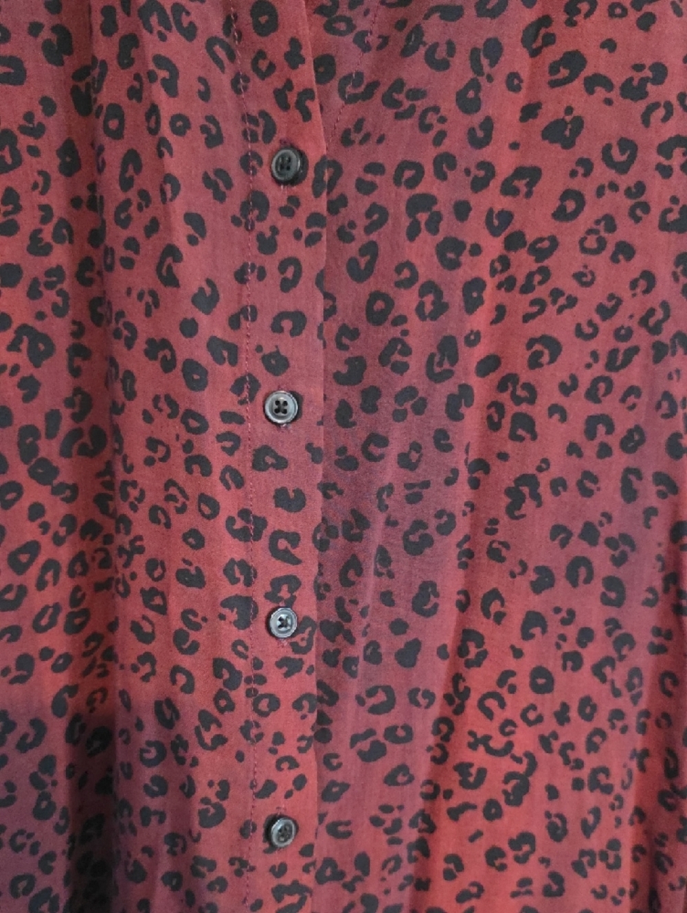 Lola River Women's Rust Leopard Button-Down Blouse - Picture 3 of 4